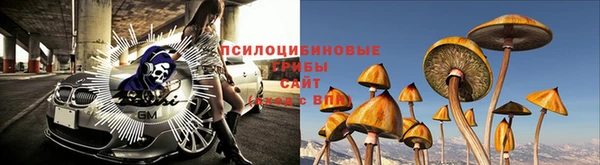 ALPHA PVP Балабаново