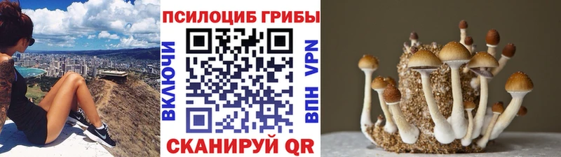 Псилоцибиновые грибы MAGIC MUSHROOMS Юрьевец